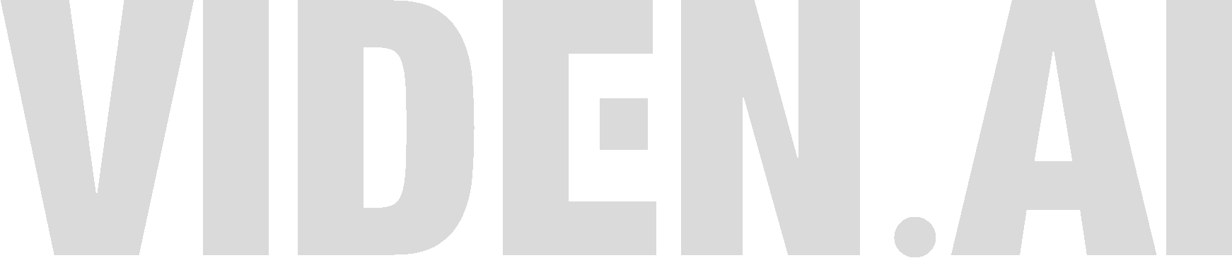 Viden.AI